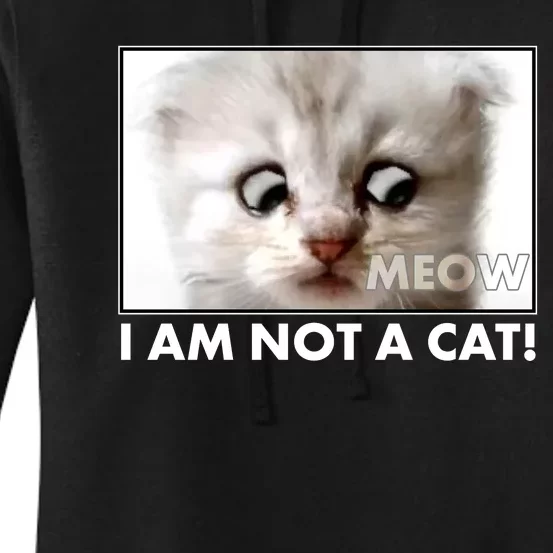 Funny I'm Not A Cat Zoom Lawyer Cat Meme Women's Pullover Hoodie