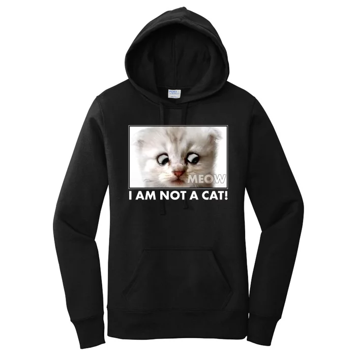 Funny I'm Not A Cat Zoom Lawyer Cat Meme Women's Pullover Hoodie