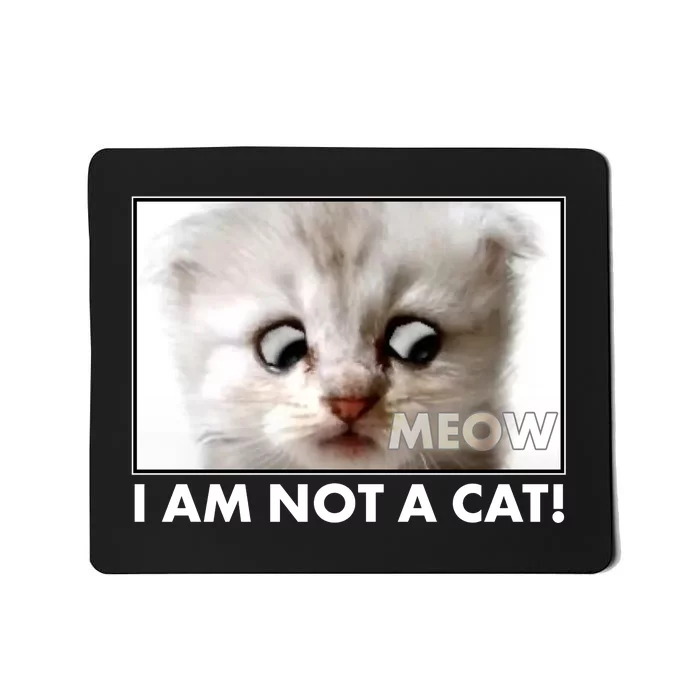 Funny I'm Not A Cat Zoom Lawyer Cat Meme Mousepad