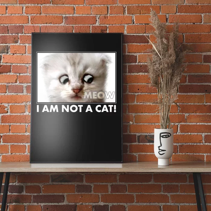 Funny I'm Not A Cat Zoom Lawyer Cat Meme Poster