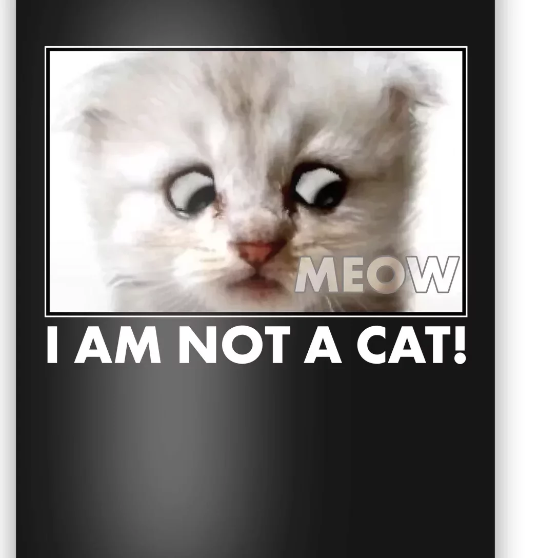 Funny I'm Not A Cat Zoom Lawyer Cat Meme Poster