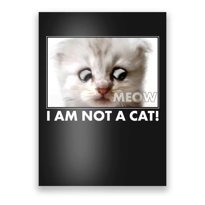 Funny I'm Not A Cat Zoom Lawyer Cat Meme Poster