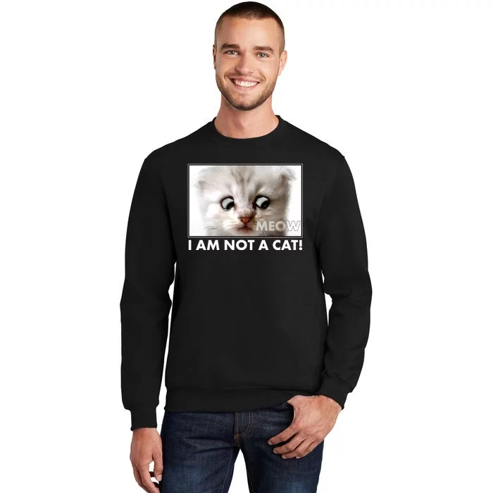 Funny I'm Not A Cat Zoom Lawyer Cat Meme Tall Sweatshirt