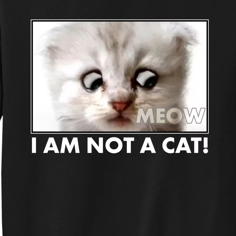 Funny I'm Not A Cat Zoom Lawyer Cat Meme Tall Sweatshirt