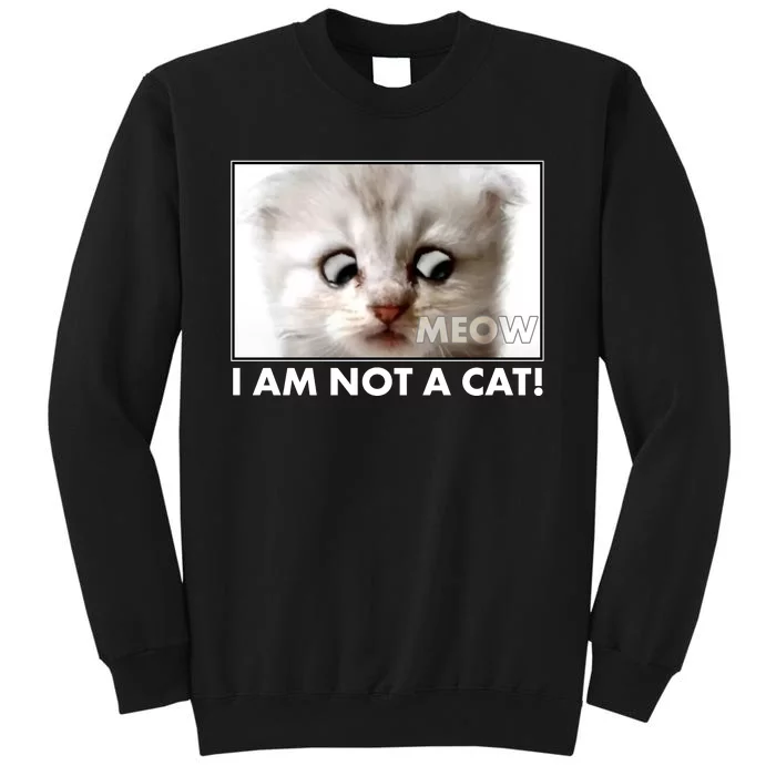 Funny I'm Not A Cat Zoom Lawyer Cat Meme Tall Sweatshirt