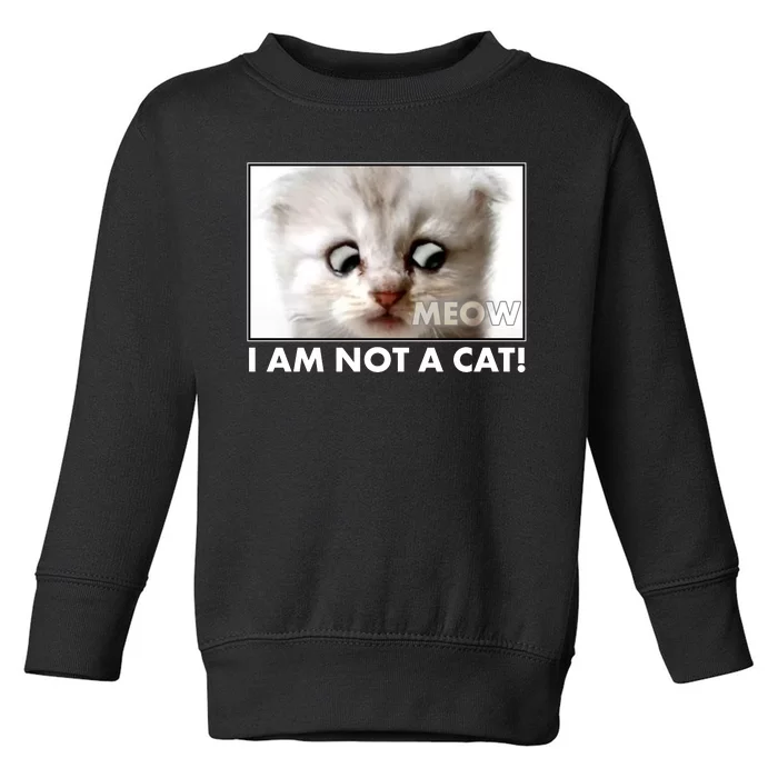 Funny I'm Not A Cat Zoom Lawyer Cat Meme Toddler Sweatshirt