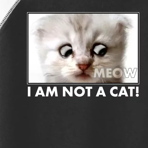 Funny I'm Not A Cat Zoom Lawyer Cat Meme Toddler Fine Jersey T-Shirt