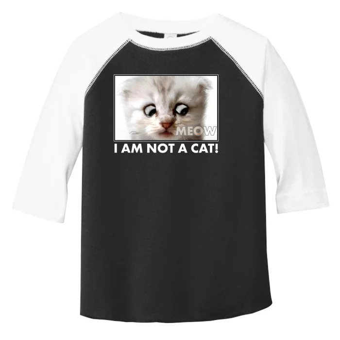 Funny I'm Not A Cat Zoom Lawyer Cat Meme Toddler Fine Jersey T-Shirt