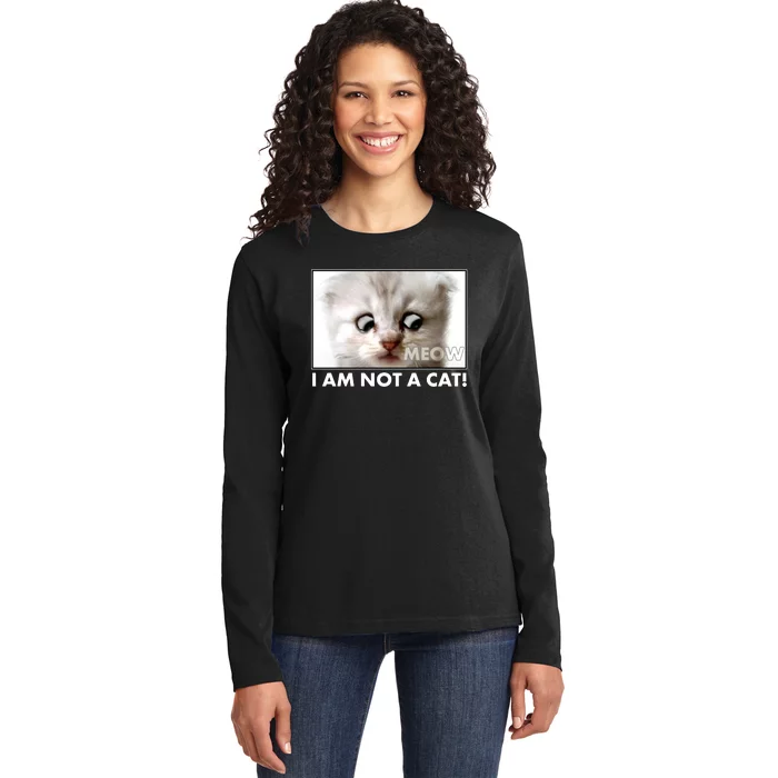 Funny I'm Not A Cat Zoom Lawyer Cat Meme Ladies Long Sleeve Shirt