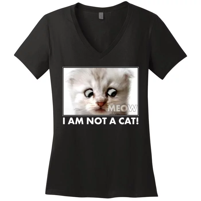 Funny I'm Not A Cat Zoom Lawyer Cat Meme Women's V-Neck T-Shirt