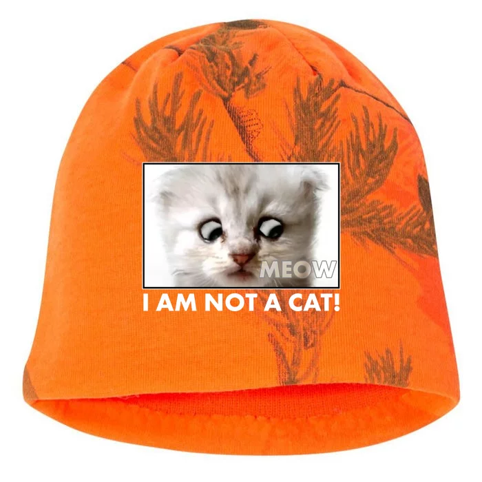 Funny I'm Not A Cat Zoom Lawyer Cat Meme Kati - Camo Knit Beanie