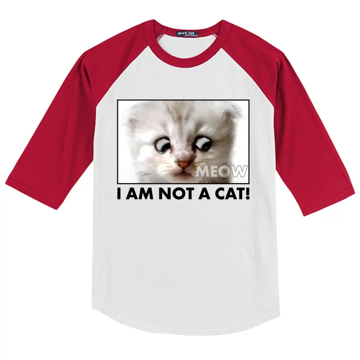 Funny I'm Not A Cat Zoom Lawyer Cat Meme Kids Colorblock Raglan Jersey