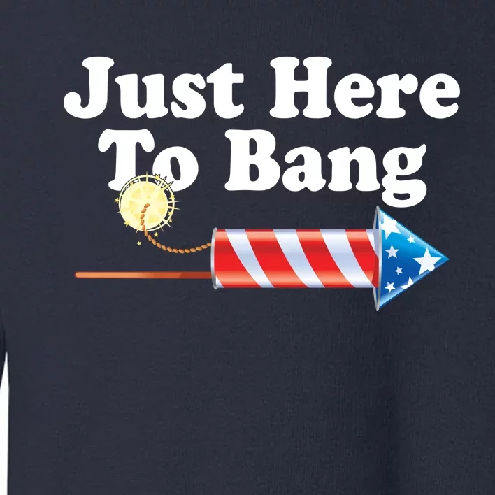 Funny July 4th Just Here To Bang Toddler Sweatshirt