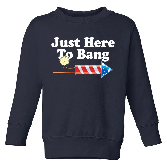 Funny July 4th Just Here To Bang Toddler Sweatshirt