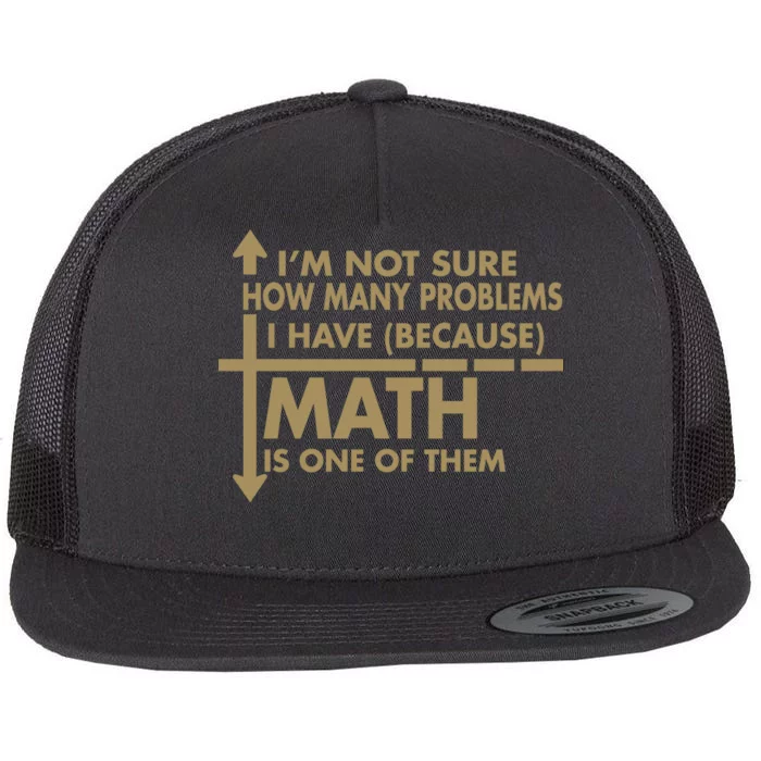 Funny Math Problems Flat Bill Trucker Hat