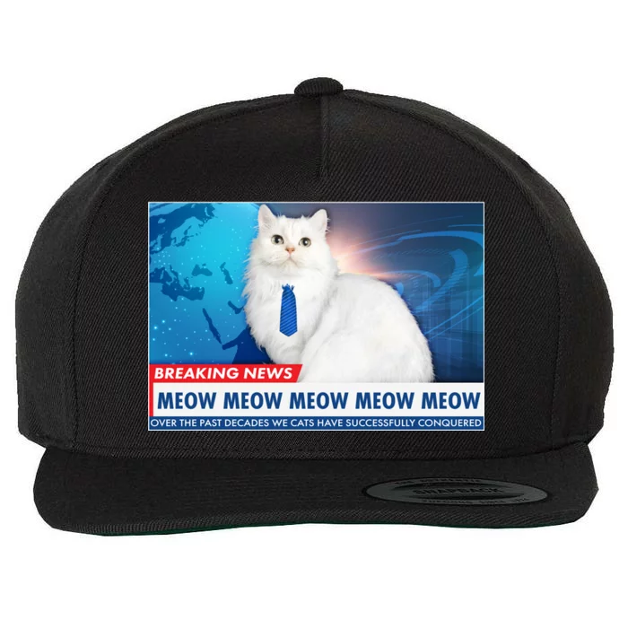 Funny News Anchor Cat Wool Snapback Cap