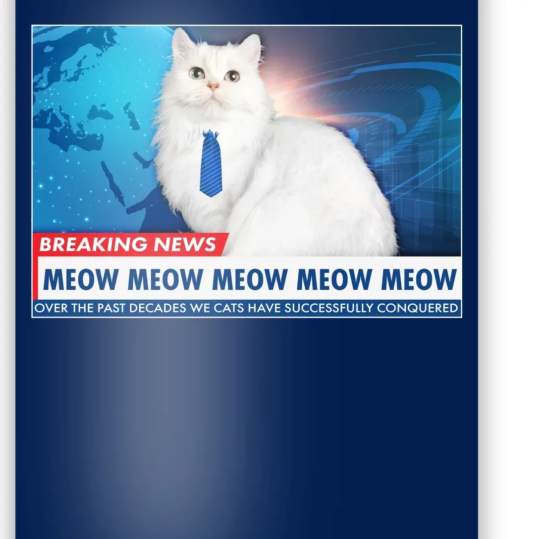 Funny News Anchor Cat Poster