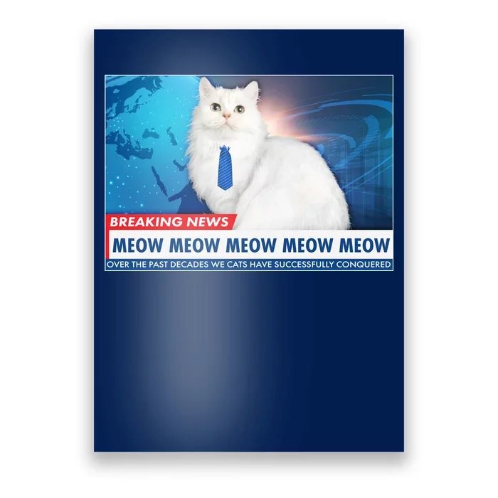 Funny News Anchor Cat Poster