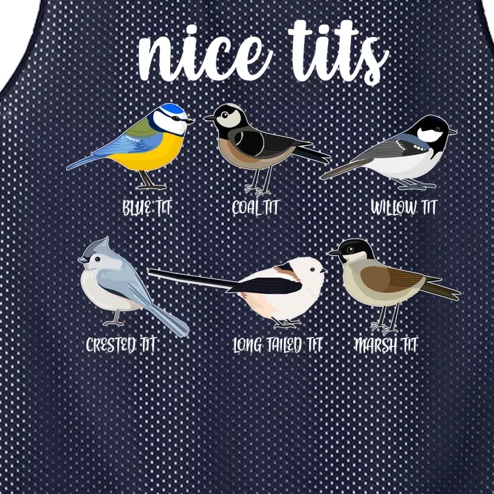 Funny Nice Tits Birds Mesh Reversible Basketball Jersey Tank