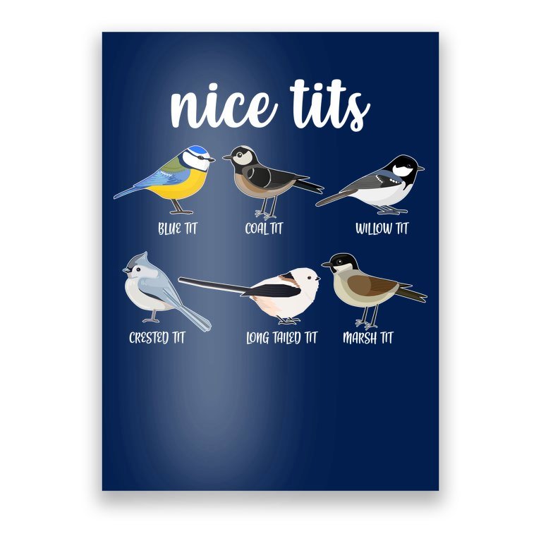 Funny Nice Tits Birds Poster