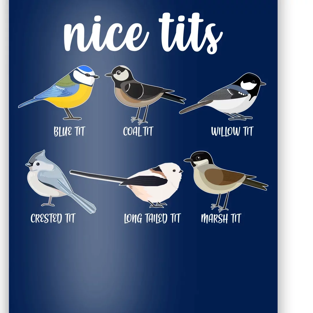 Funny Nice Tits Birds Poster