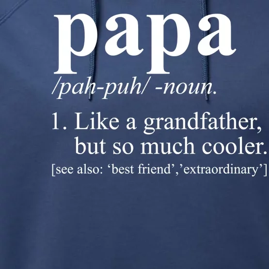 Funny Papa Definition Like A Grandfather Performance Fleece Hoodie