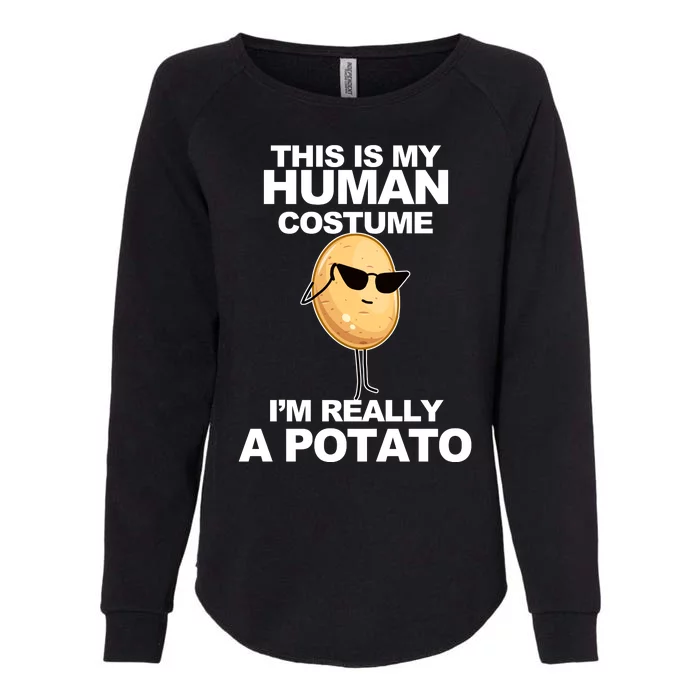 Funny Potato This Is My Human Costume Womens California Wash Sweatshirt