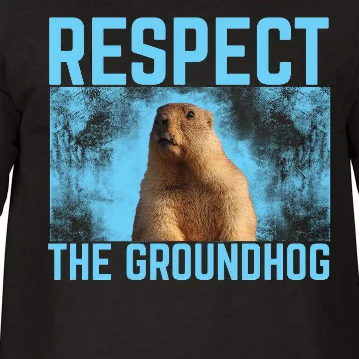 Funny Respect The Groundhog Comfort Colors T-Shirt