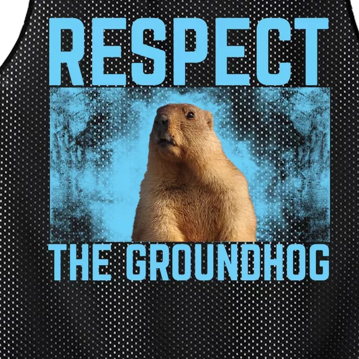 Funny Respect The Groundhog Mesh Reversible Basketball Jersey Tank