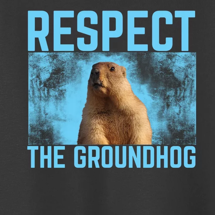 Funny Respect The Groundhog Toddler T-Shirt