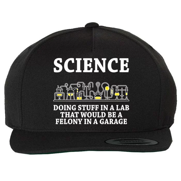 Funny Science Definition Wool Snapback Cap