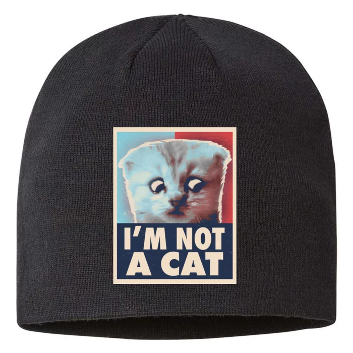 Funny Vintage I'm Not A Cat Zoom Lawyer Cat Meme 8 1/2in Sustainable Knit Beanie