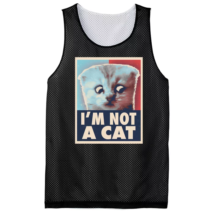 Funny Vintage I'm Not A Cat Zoom Lawyer Cat Meme Mesh Reversible Basketball Jersey Tank