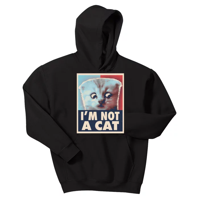 Funny Vintage I'm Not A Cat Zoom Lawyer Cat Meme Kids Hoodie