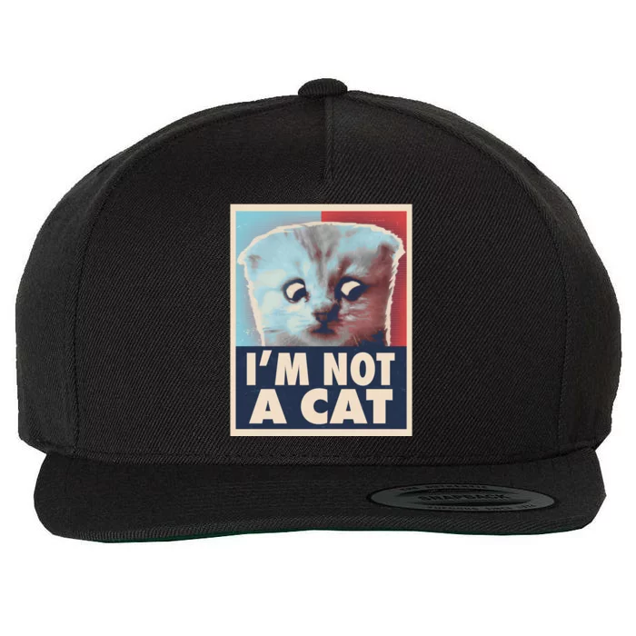 Funny Vintage I'm Not A Cat Zoom Lawyer Cat Meme Wool Snapback Cap