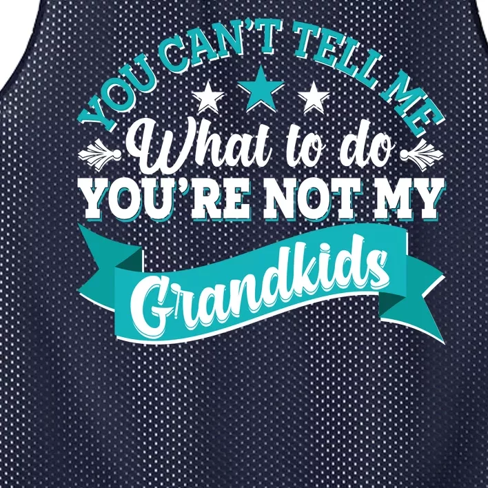 Funny You Can't Tell Me What to do You're Not My Grandkids Mesh Reversible Basketball Jersey Tank