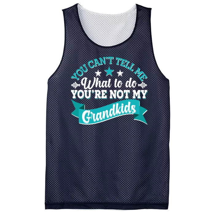 Funny You Can't Tell Me What to do You're Not My Grandkids Mesh Reversible Basketball Jersey Tank