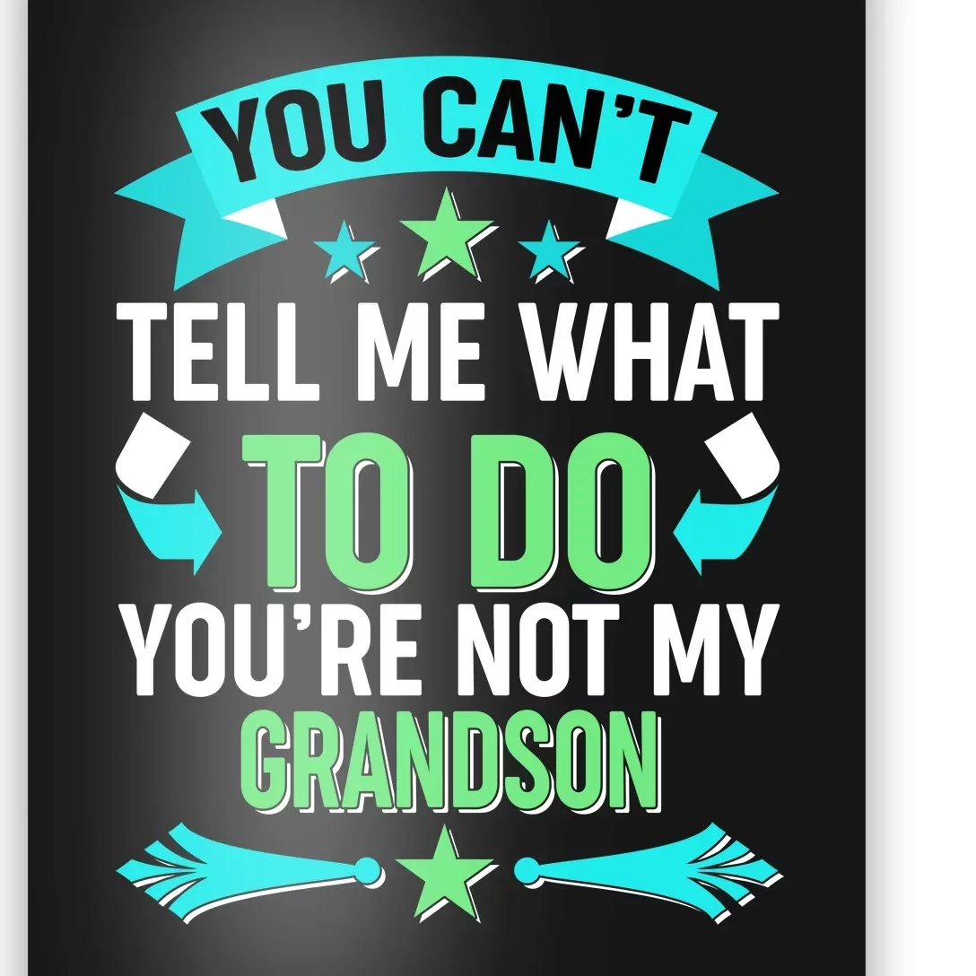 Funny You Can't Tell Me What to do You're Not My Grandson Poster