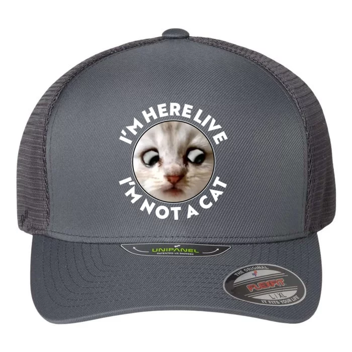 Funny Zoom Lawyer Cat Meme I'm Here Live I'm Not A Cat Flexfit Unipanel Trucker Cap