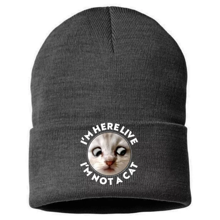 Funny Zoom Lawyer Cat Meme I'm Here Live I'm Not A Cat Sustainable Knit Beanie