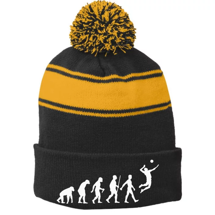 Funny Volleyball Art For Ball Sports Stripe Pom Pom Beanie