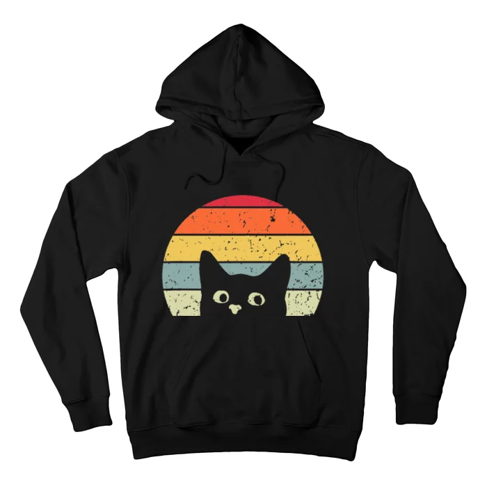 Funny Vintage Cat Retro Cat Hoodie