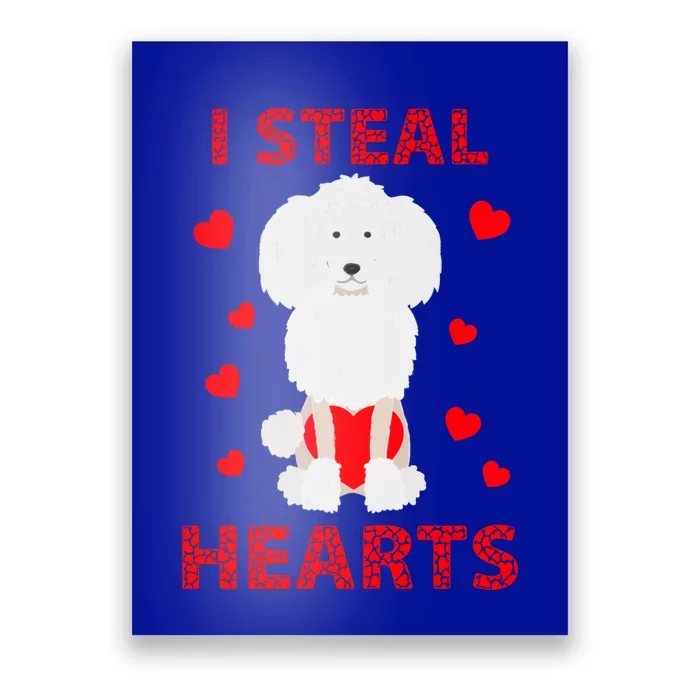 Funny Valentines Day Poodle Dog Lover I Steal Hearts Gift Poster