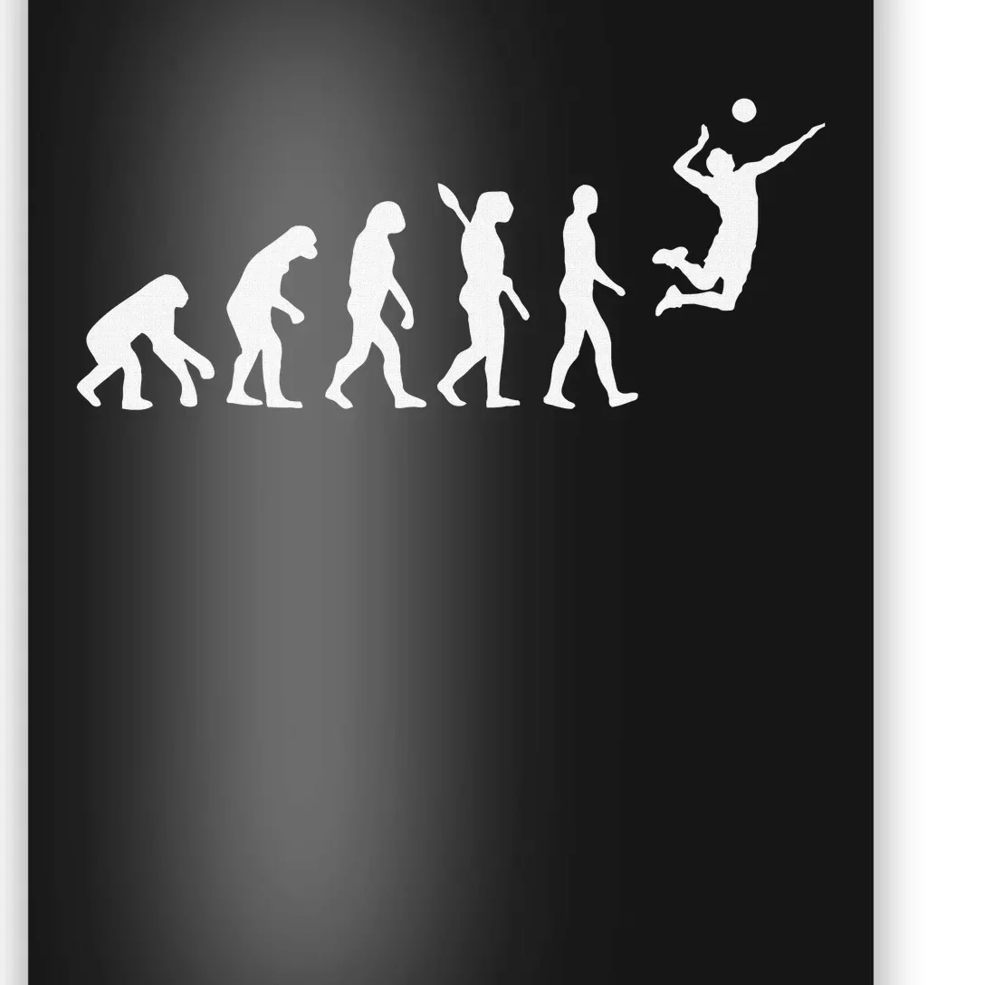 Funny Volleyball Design Ball Sports Athletes Poster