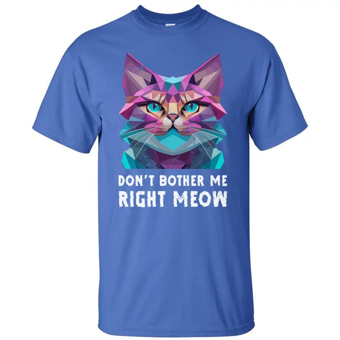 Funny Video Gamer And Cat Lover DonT Bother Me Right Meow Gift Tall T-Shirt