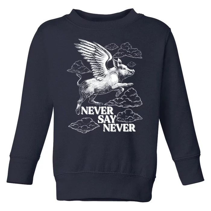 Funny Vintage Never Say Never When Pigs Fly Toddler Sweatshirt