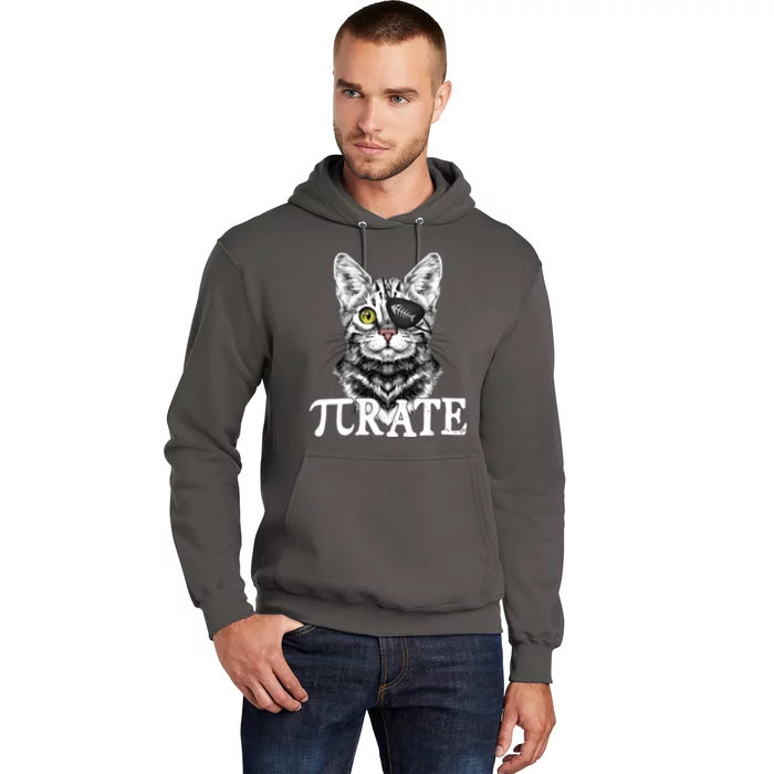 Funny Vintage Pi Day 314 PiRate Pirate Cat Hoodie