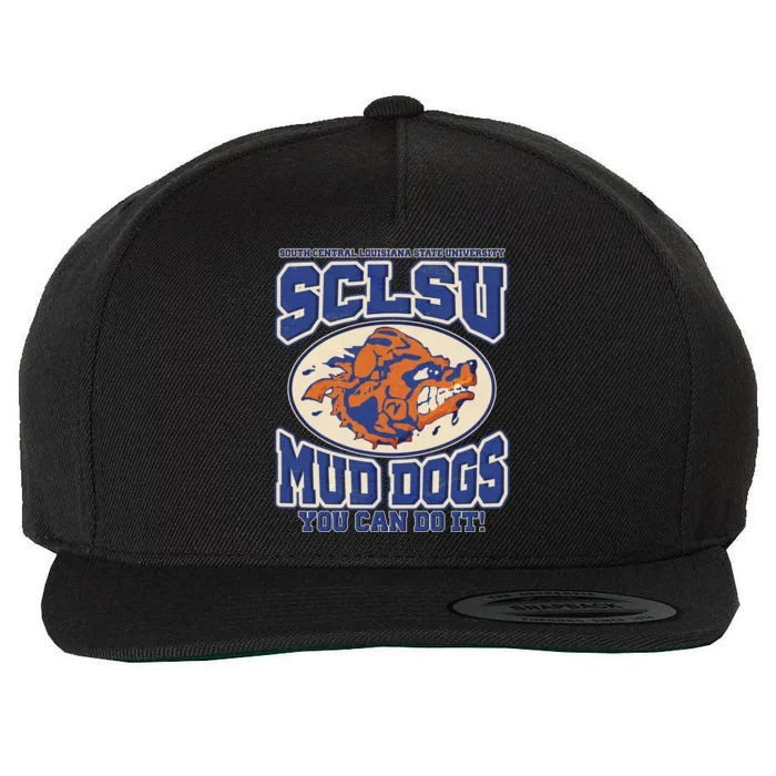 Funny Vintage SCLSU Mud Dogs Classic Football Wool Snapback Cap