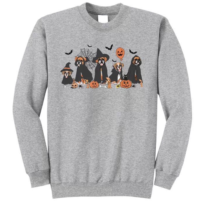 Five Witch Boxer Dog Halloween Boxer Dog Spooky Season Women Tall Sweatshirt