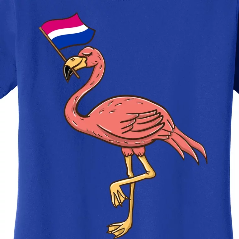 Flamingo With Bisexual Pride Flag Funny Gift Women's T-Shirt